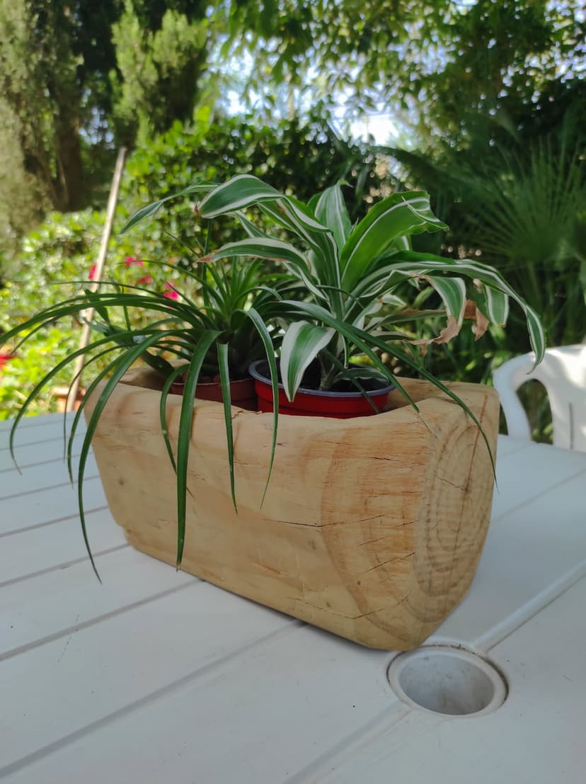Jardinière
